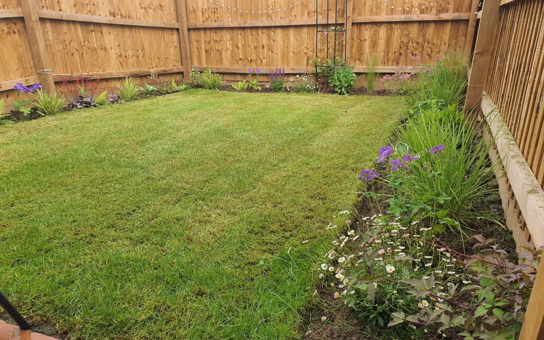 Ilkeston Landscape Planting 2021