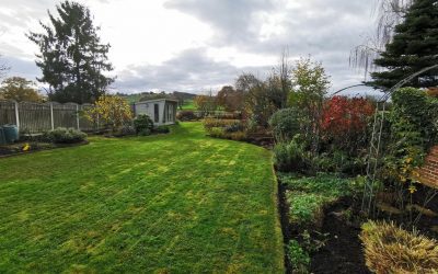 Duffield Gardening 2022