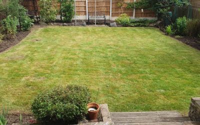 Littleover Garden Tidy 2019