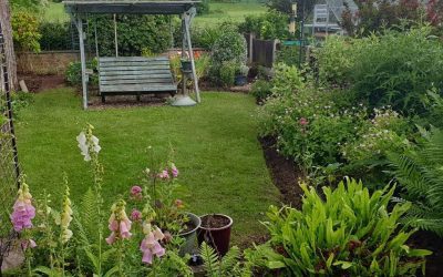 Spondon Tidy up 2019