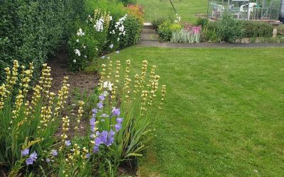 Ilkeston Regular Tidy 2019