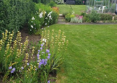 Ilkeston Regular Tidy 2019