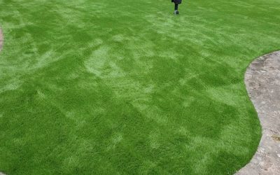 Artificial Lawn Spondon 2019