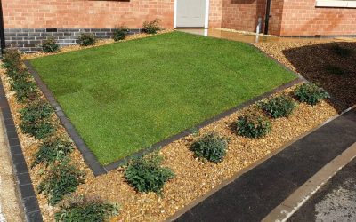 Smalley Landscape 2019