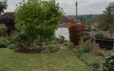 Ilkeston Garden Restore 2019