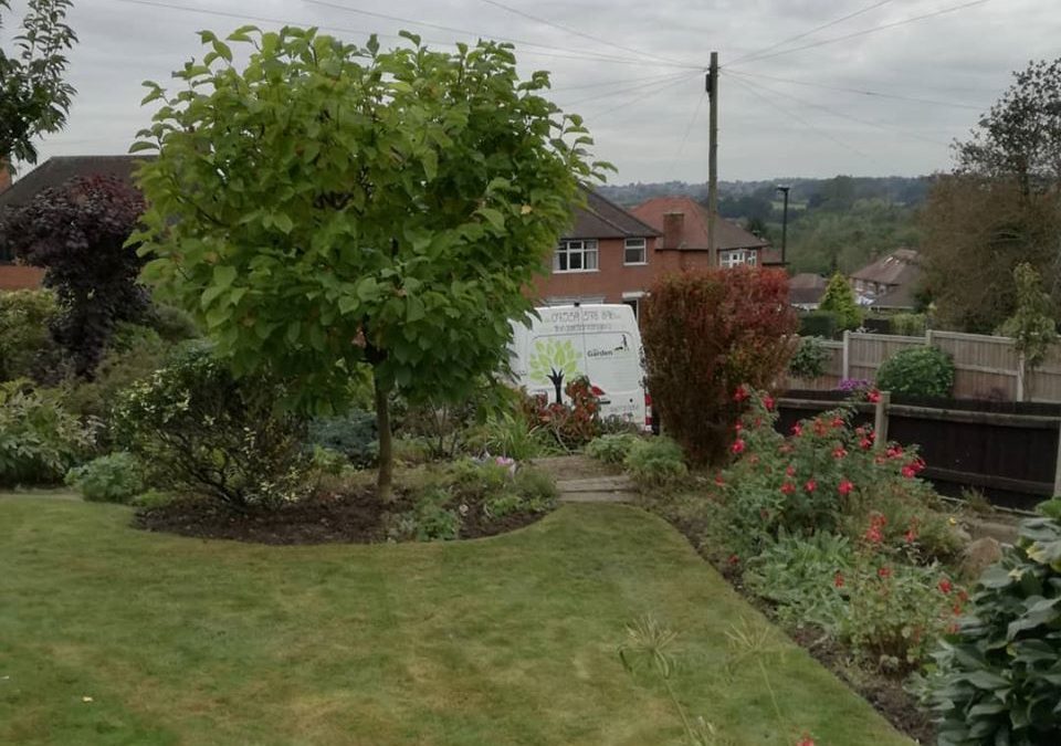 Ilkeston Garden Restore 2019
