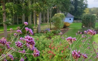 Estate Tidy Smalley 2019