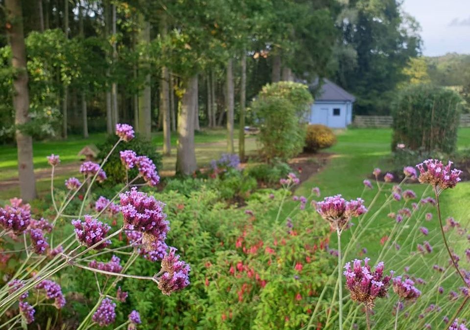 Estate Tidy Smalley 2019