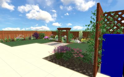 Garden and Plant Design Ilkeston 2021