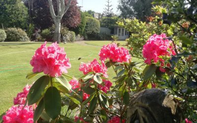 Garden Maintenance 2021