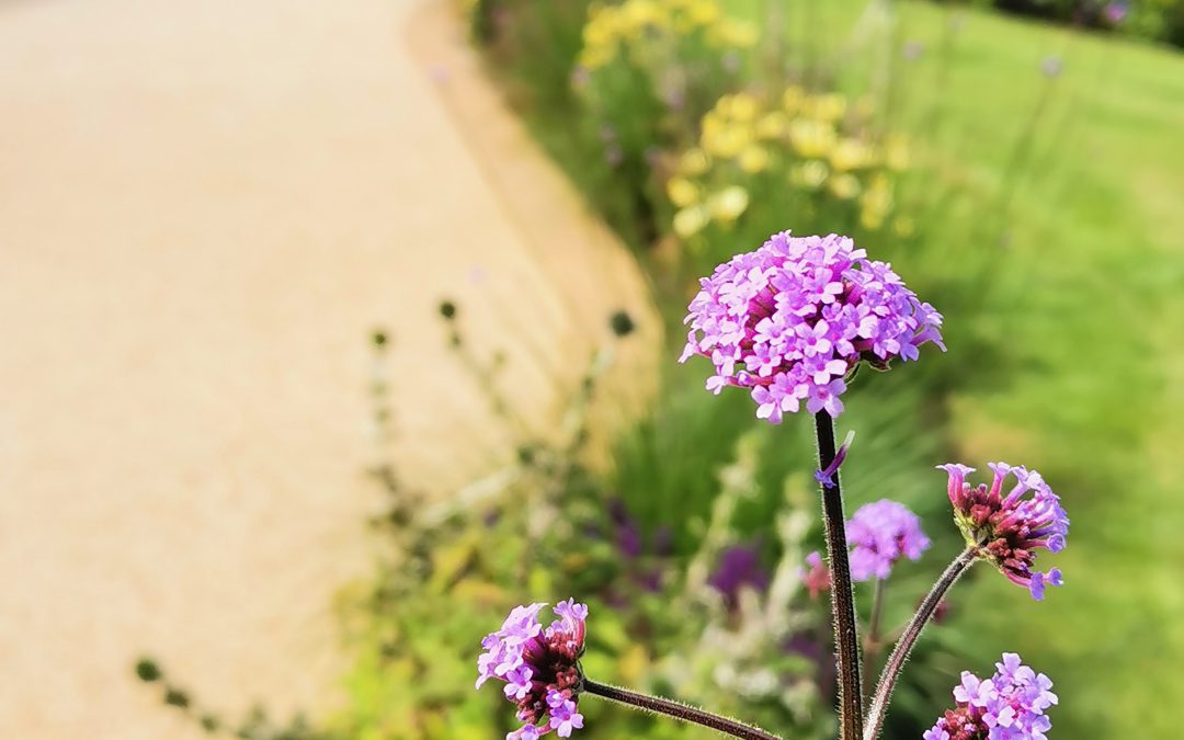 Heanor Border Design 2020