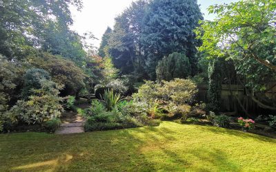 Littleover Garden 2021