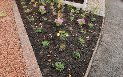 West Hallam Planting 2021