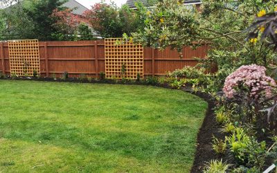 Ashbourne Planting 2022