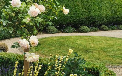 Garden Maintenance 2020