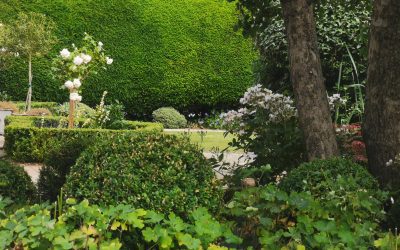 Garden Maintenance 2022