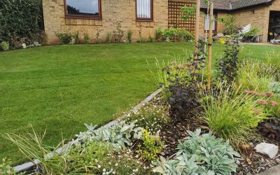 Oakwood Planting 2022