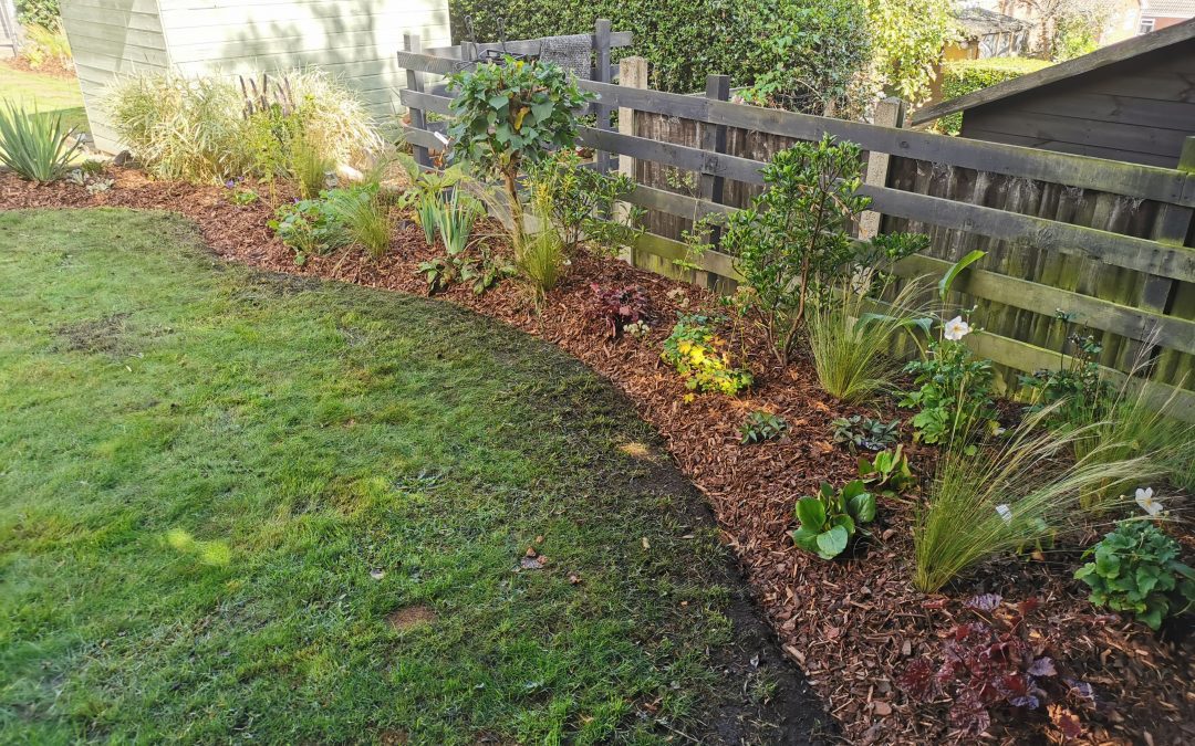 Kirk Hallam Planting 2022