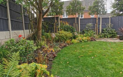 Ilkeston Landscape 2021