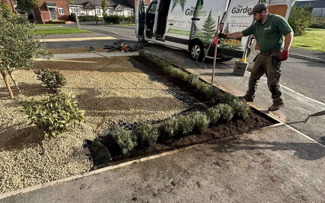 Album of Final Jobs of 2023