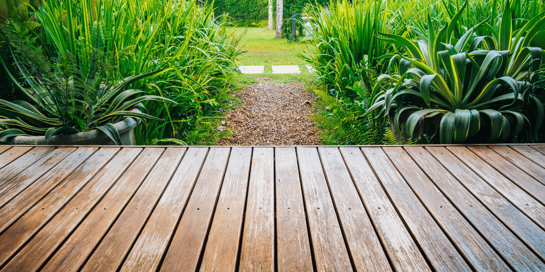 decking with plants