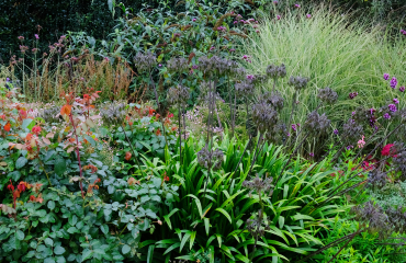 planted flower border weeding