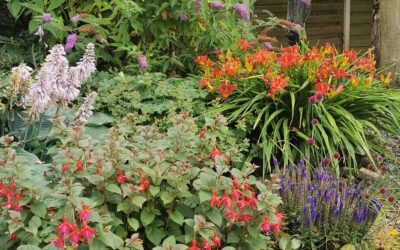 Alfreton Maintenance 2024