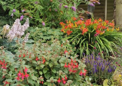 Alfreton flowering border