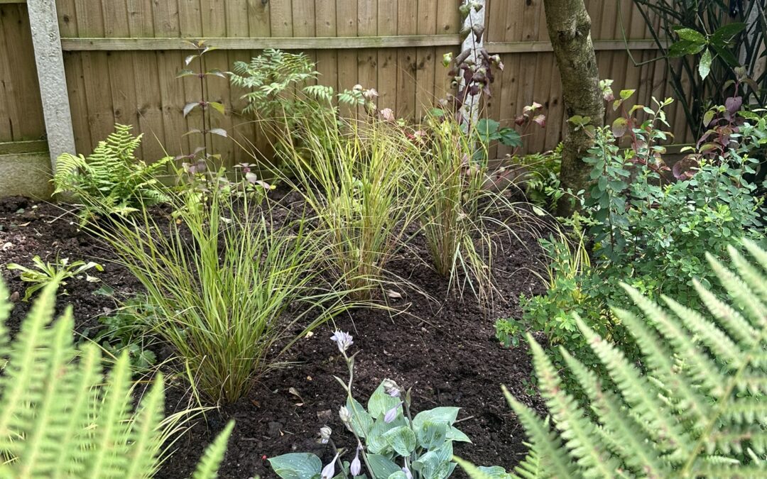 Littleover Planting 2024