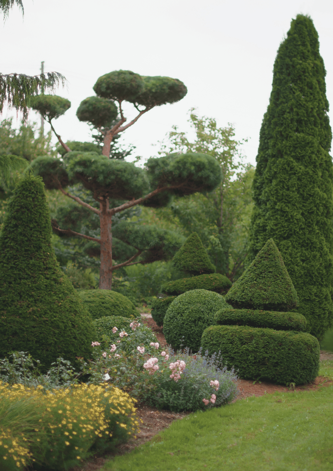 Topiary Garden