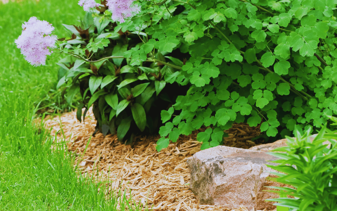 The Benefits of Mulch: Moisture Retention, Temperature Regulation, and Soil Health