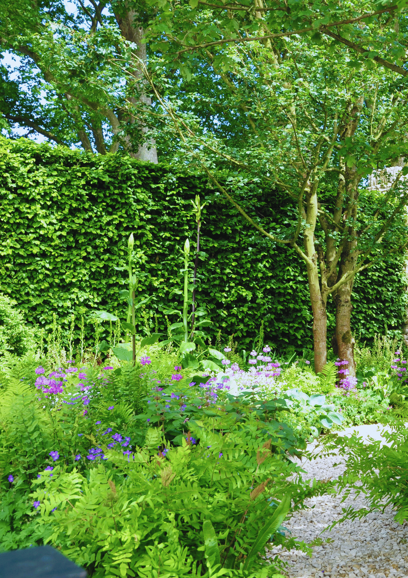 established garden border