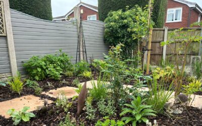 Mickleover Planting 2024