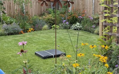 Spondon Landscape 2025