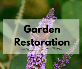 garden restoration garden restoration