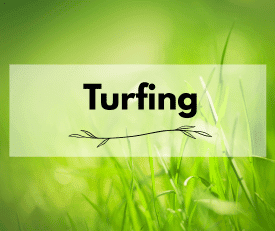 turfing turfing