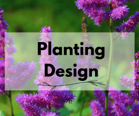 Planting Design Planting Design