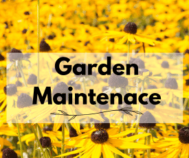 garden maintenance services garden maintenance services