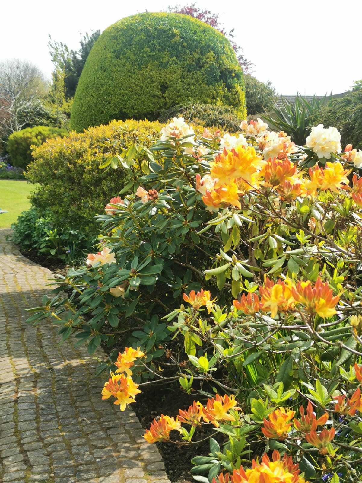 Well maintained cottage garden garden maintenance