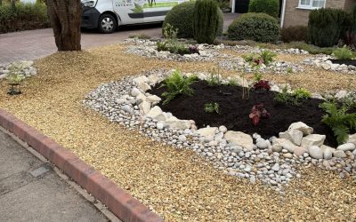 Sandiacre Landscape 2025