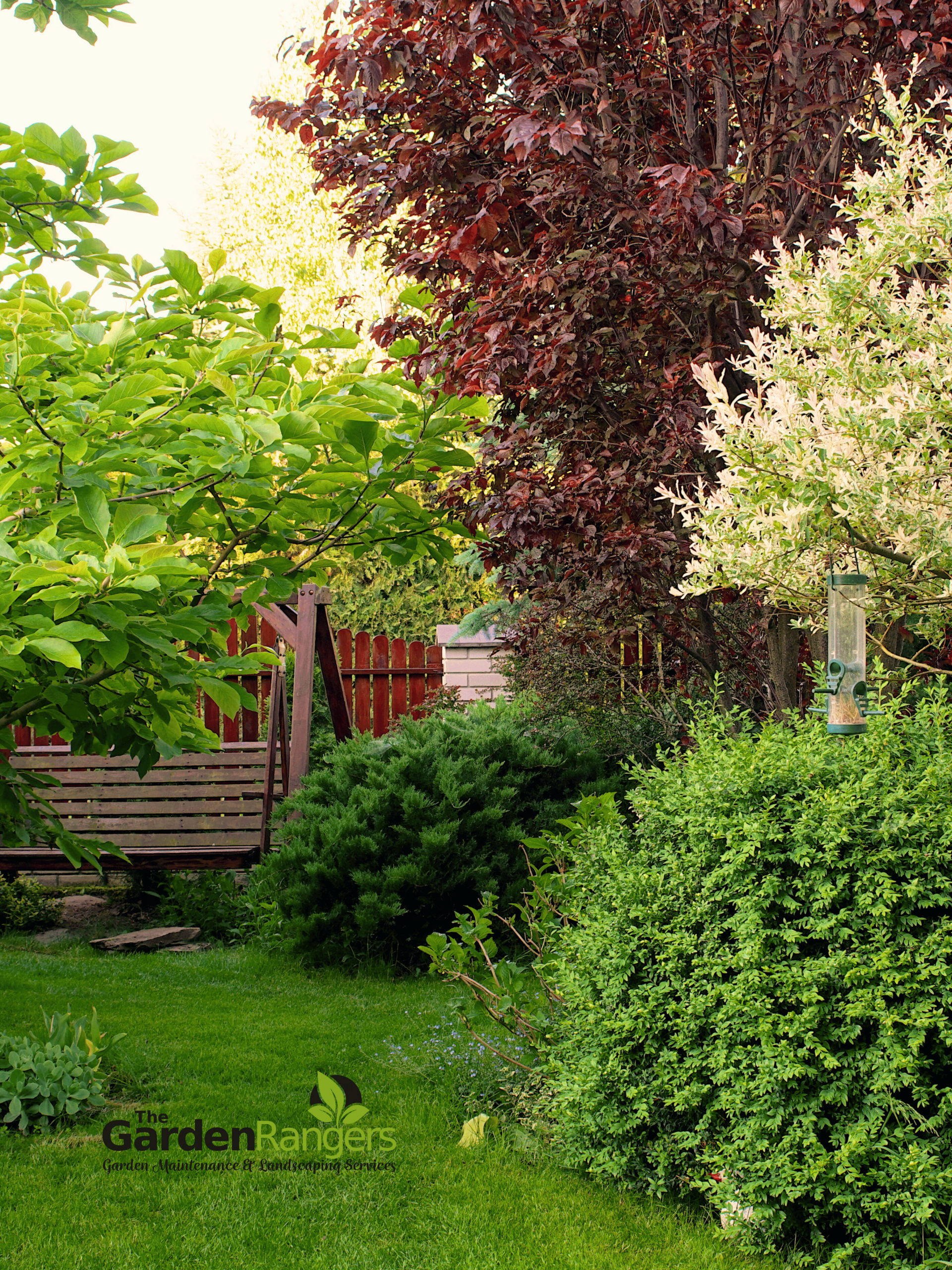 woodland established garden