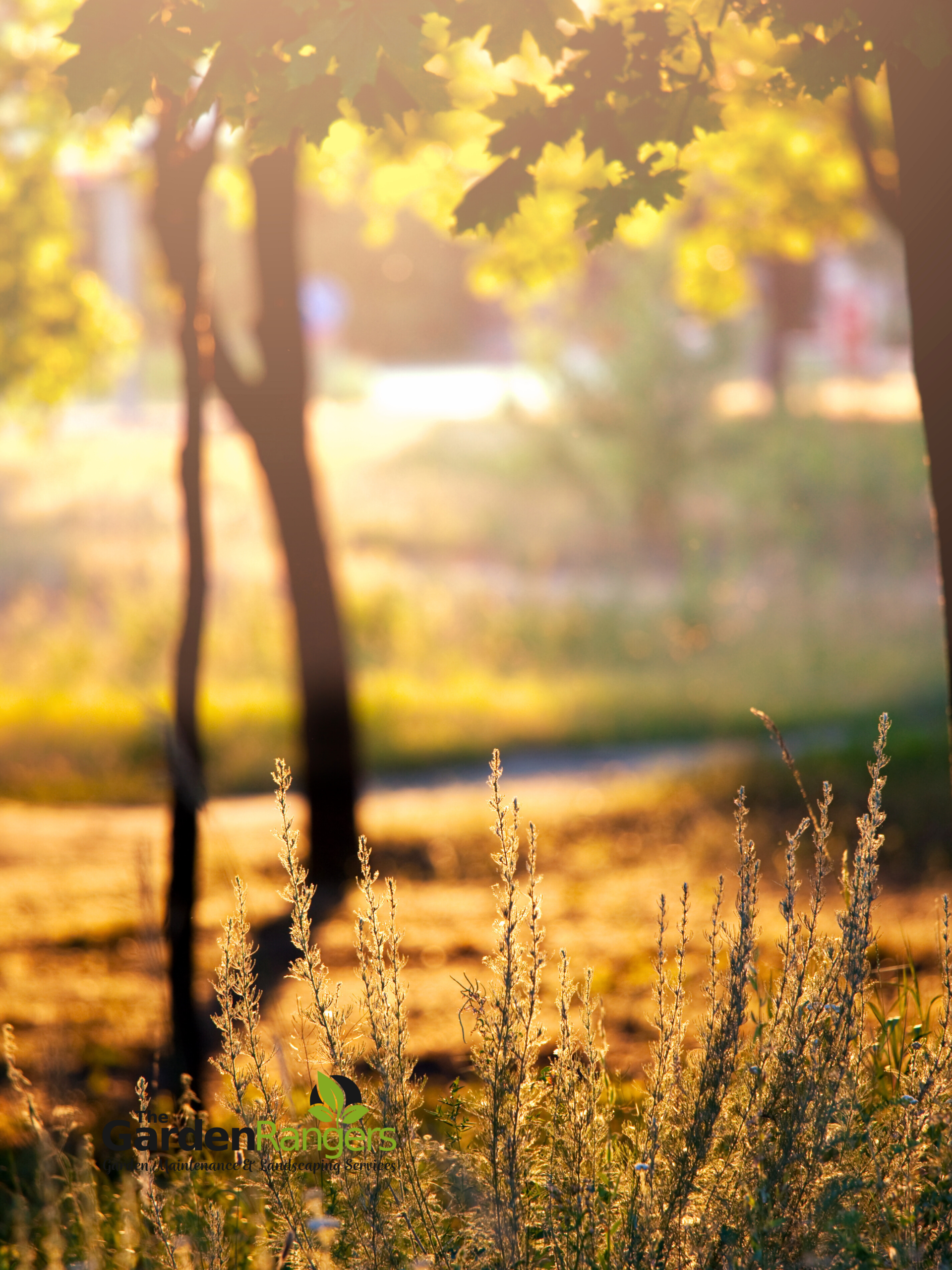 established garden planting