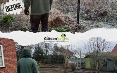 Belper Restoration 2026